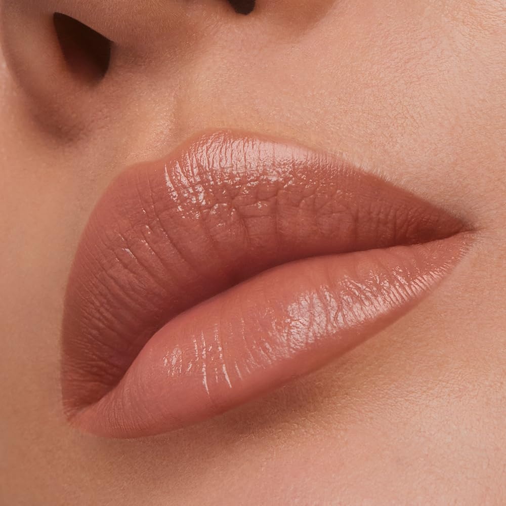 image:imageEste Lauder Pure Color Long Lasting Cream Lipstick for Women with Cream Finish Plumping amp Nourishing 012 Ounce866 Disguise A muted soft brown with a warm undertone