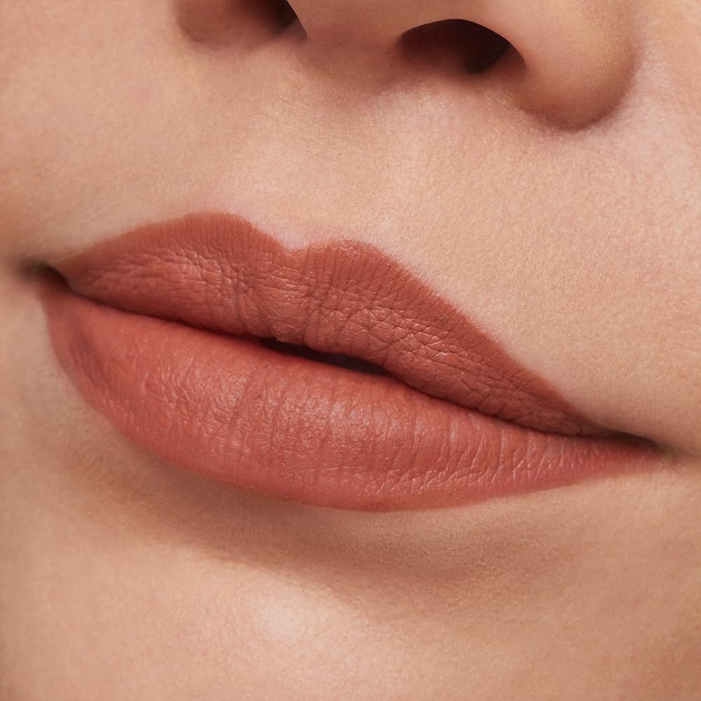 image:imageEste Lauder Pure Color LongLasting Matte Lipstick for Women with Matte Finish Plumping amp Nourishing 012 Ounce676 Flirtatious A light burnt peach with a warm undertone