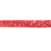 Estée Lauder Double Wear Long-Lasting 24H Stay-in-Place Lip Liner | Transfer-Resistant(13 Coral – A vibrant coral red with a warm undertone)