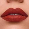 Estée Lauder Pure Color Long-Lasting Matte Lipstick for Women with Matte Finish | Plumping & Nourishing, 0.12 Ounce(333 Persuasive – A burnt apricot with a warm undertone)