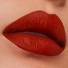 Estée Lauder Pure Color Long-Lasting Matte Lipstick for Women with Matte Finish | Plumping & Nourishing, 0.12 Ounce(569 Fearless – A burnt red with a warm undertone)